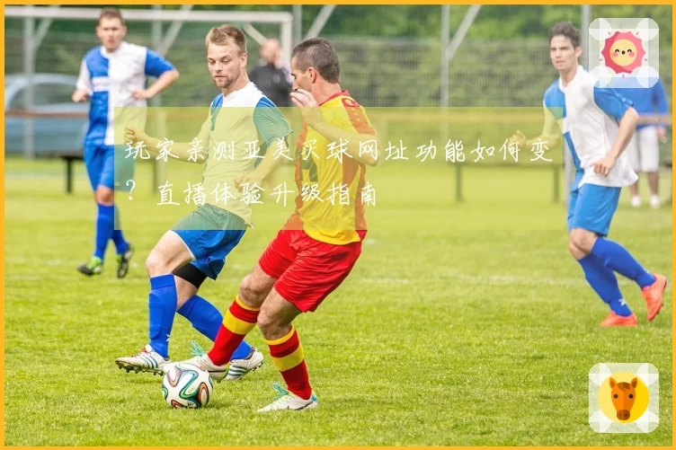 玩家亲测亚美买球网址功能如何变？直播体验升级指南